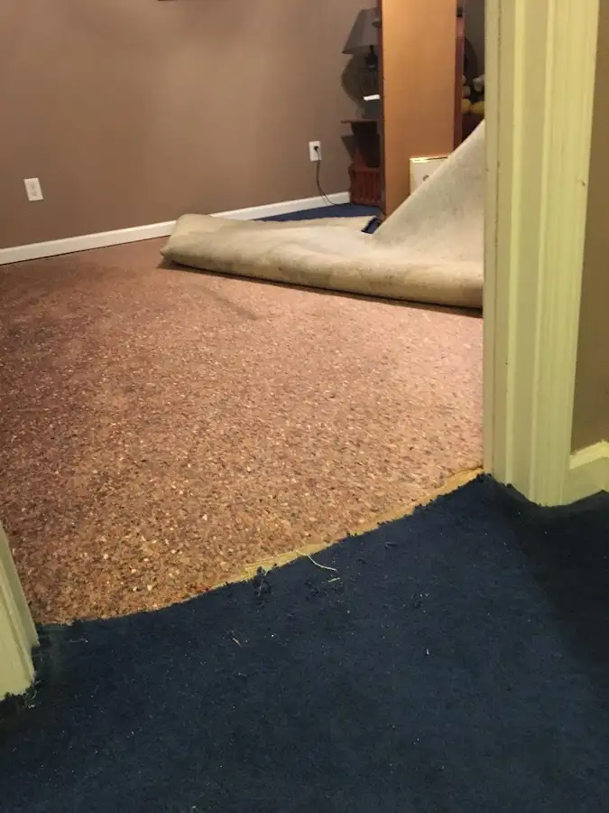 Carpet pad removal revealing water damage during Drying & Dehumidification in Buckeye